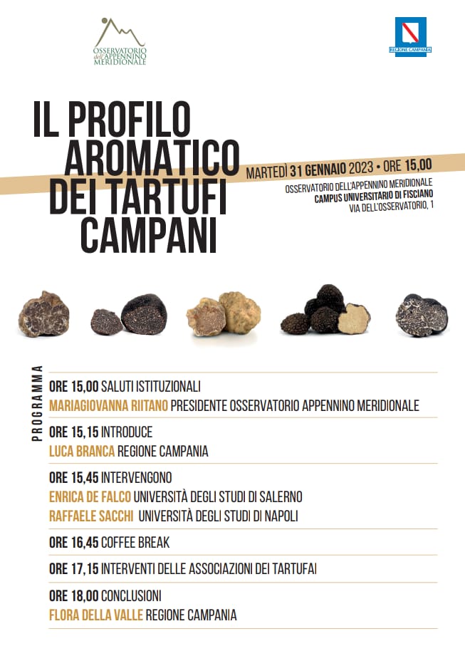  Campus universitario di Fisciano - Un convegno per esaltare le qualità dei tartufi campani